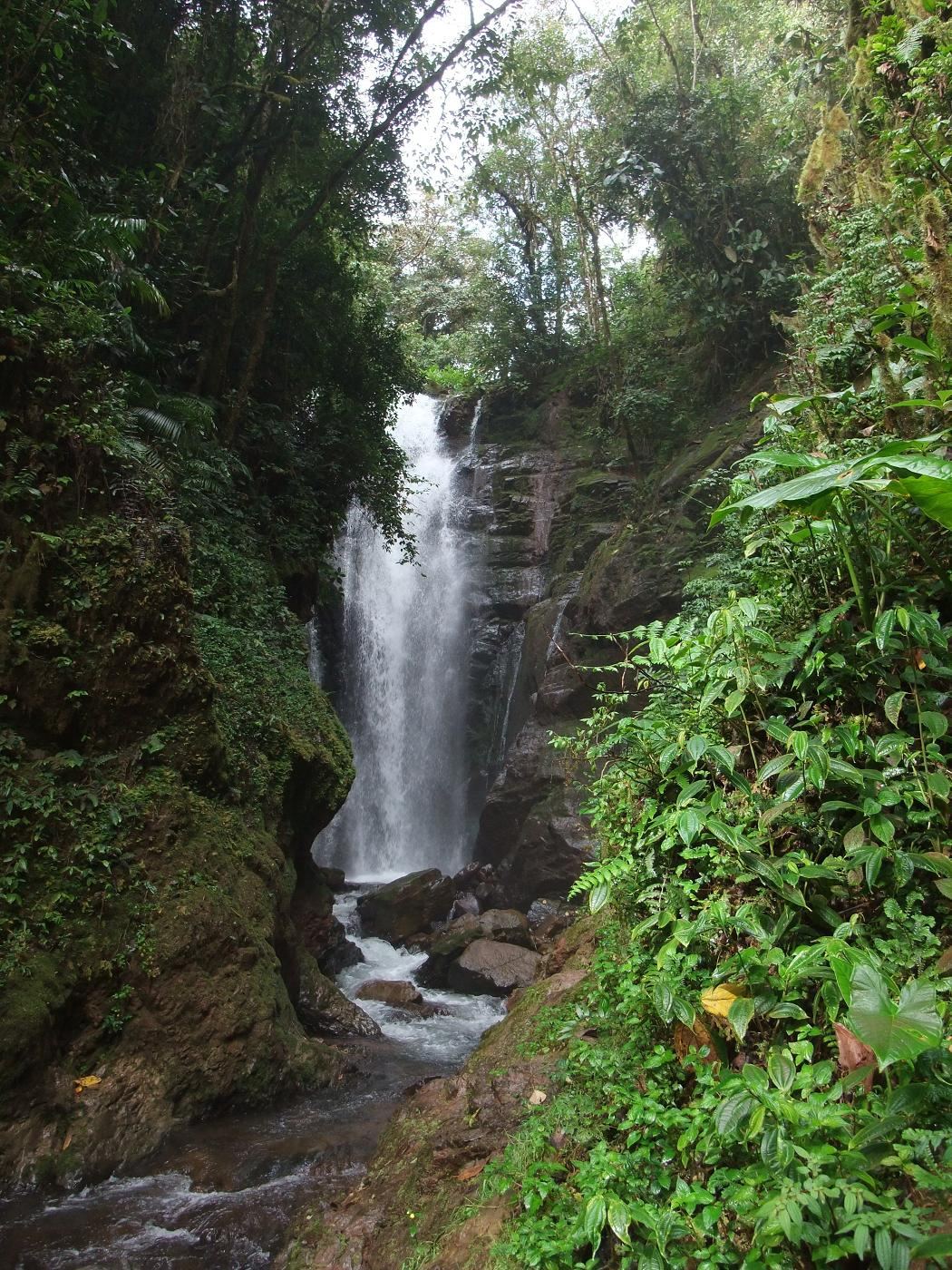 Imagen referencial — Catarata Río Tigre, Oxapampa