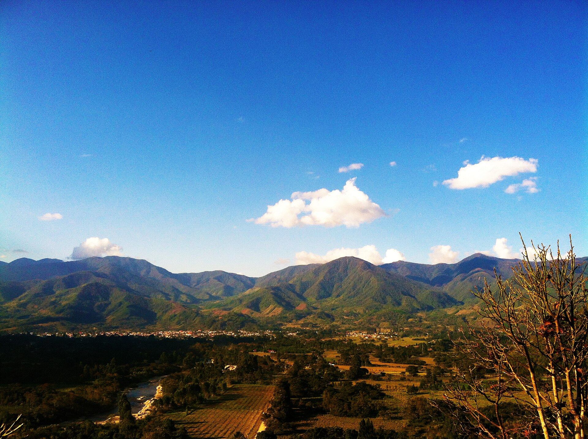 Imagen referencial — Parque Nacional Yanachaga Chemillén · San Alberto, Oxapampa